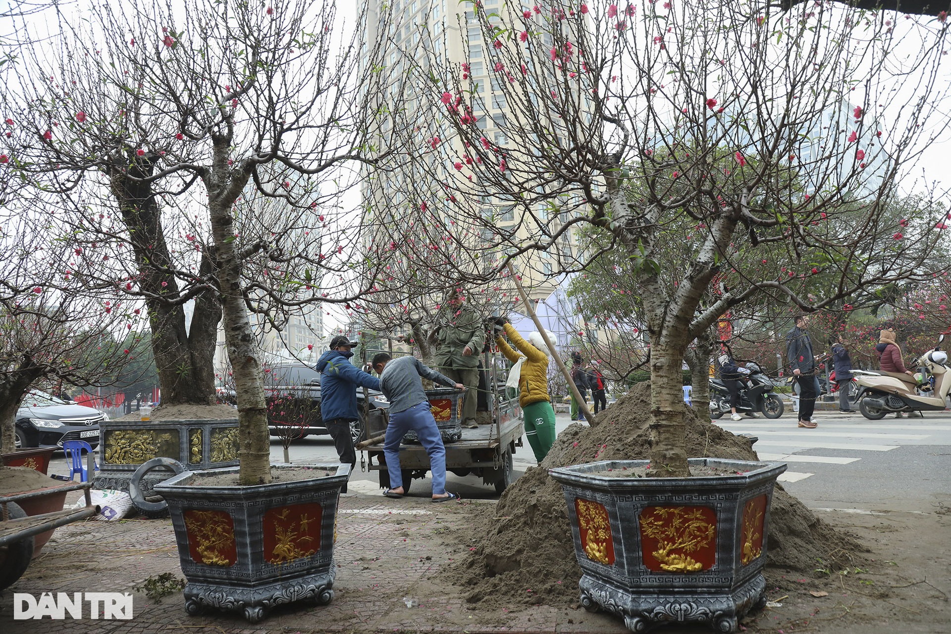 People flocked to Lac Long Quan flower market to shop for Tet - 7