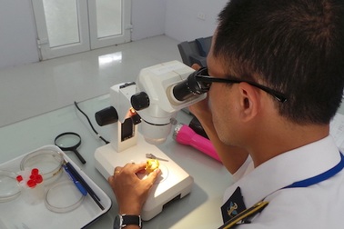 Khám phá khu chiếu xạ đưa quả vải thiều sang thị trường Úc