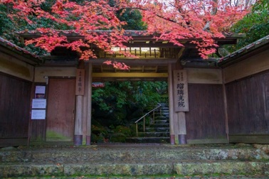 Những địa điểm ngắm lá đỏ mùa thu đẹp nhất Nhật Bản