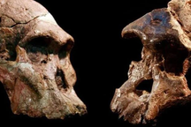 Phân tích "vật chất vũ trụ", tìm ra con người đầu tiên của Trái Đất?