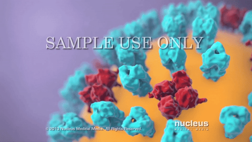 Giải mã “vũ khí” bí mật khiến bệnh cúm lây lan với tốc độ chóng mặt - 2