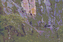 Xem đàn voọc quý hiếm với số lượng lớn cheo leo bên vách đá