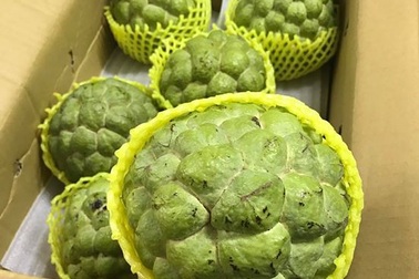 Cơn “sốt” hoa quả ngoại: Dưa hấu 4 triệu, na “khổng lồ” 300 ngàn/quả