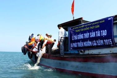 Thả hơn 1,2 triệu con tôm sú ra biển tự nhiên