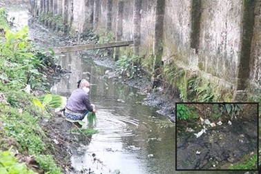 Bịt khẩu trang rửa rau ở rãnh nước… thải đầy phân