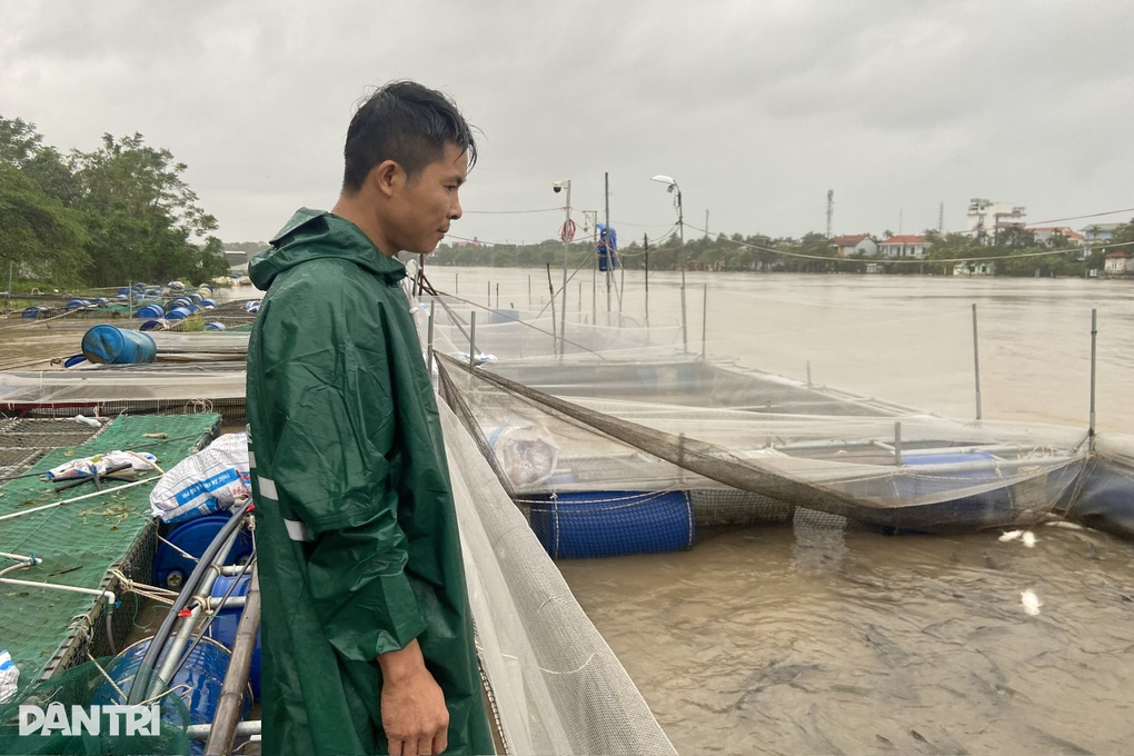Cá chết la liệt trong lũ, nhiều hộ dân đứng trước viễn cảnh trắng tay - 1 Cá chết la liệt trong lũ, nhiều hộ dân đứng trước viễn cảnh trắng tay - 1