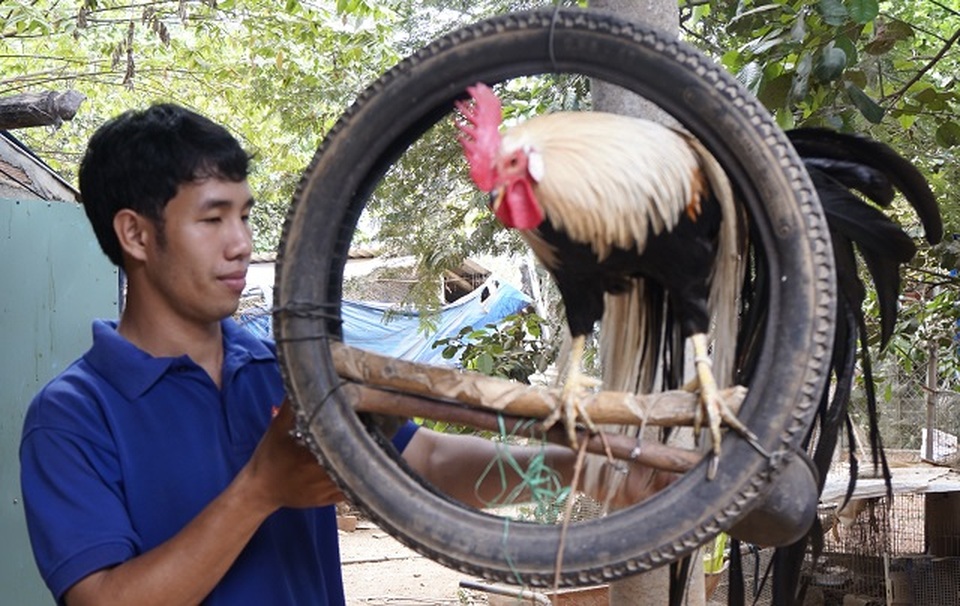 Nghệ An: Khởi nghiệp thành công ở tuổi 55 - Cổng Thông Tin Hội Liên hiệp  Phụ nữ Việt Nam