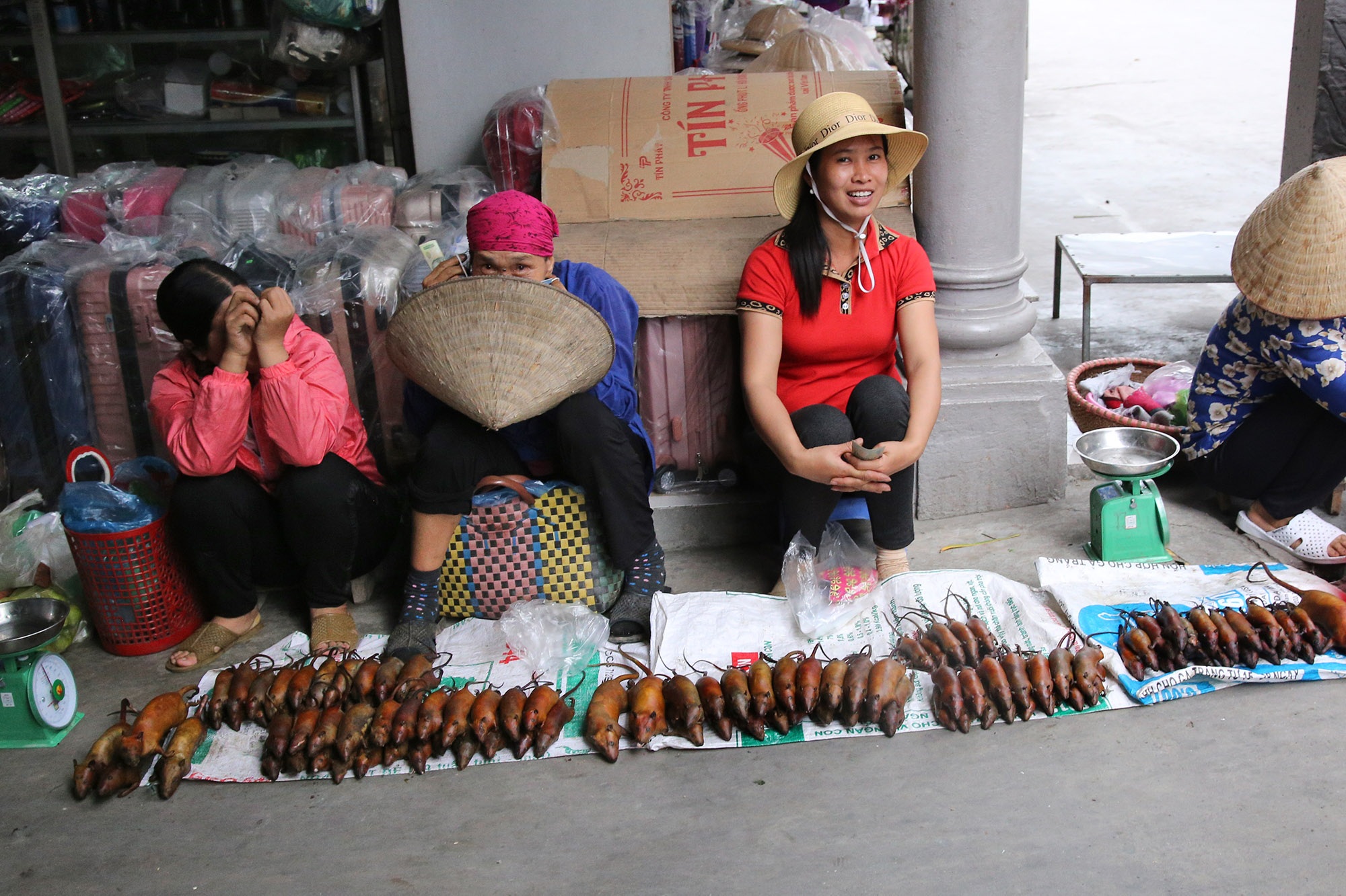 Món thịt chuột đặc sản của người làng Giống - 10 Món thịt chuột đặc sản của người làng Giống - 10