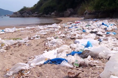 Phú Yên: Vịnh Vũng Rô đang "chết dần chết mòn" vì rác thải nhựa!