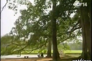 Nhạc phim Đất và người