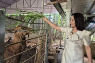 Nữ giáo viên kiếm nửa tỷ đồng mỗi năm từ "nghề tay trái"