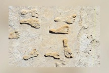 Phát hiện dấu chân hóa thạch - bằng chứng con người sinh sống ở châu Mỹ