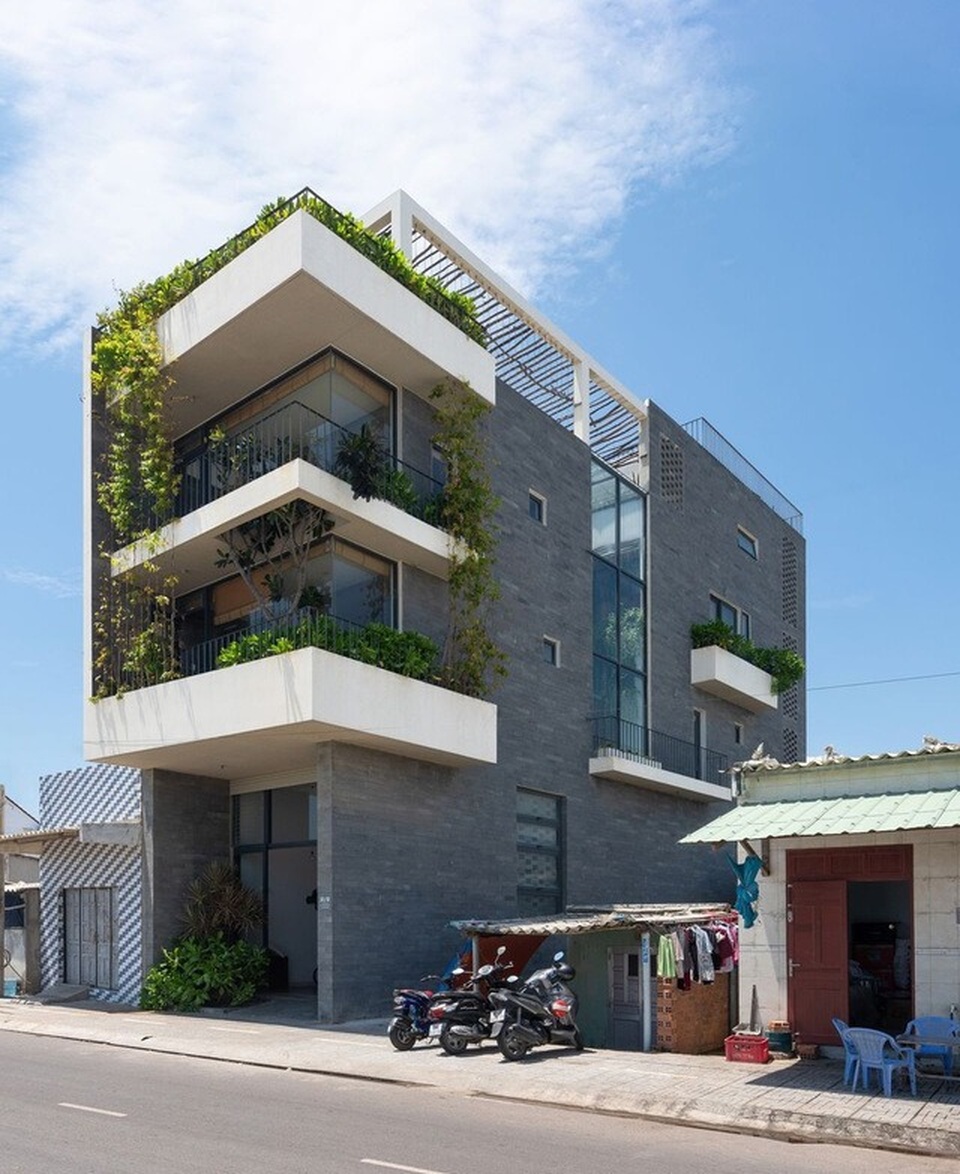 “Khu rừng nhiệt đới” nằm ẩn trong nhà phố khiến ai bước vào cũng trầm trồ - 5