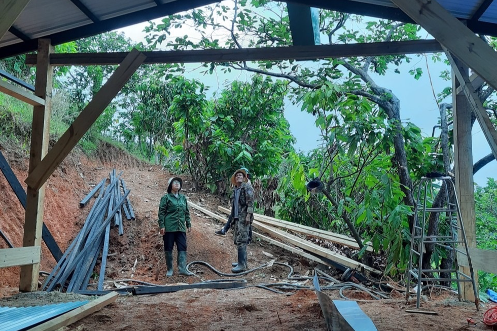 Bán chung cư, đôi bạn bỏ phố về vườn ở Đà Lạt, tự dựng nhà sống chữa lành - 3