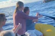 Ấn tượng khoảnh khắc người đàn ông đập tay với cá voi khổng lồ