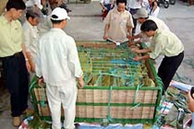 Giỗ tổ Hùng Vương, dâng bánh chưng - bánh dày nặng hơn 3 tấn 