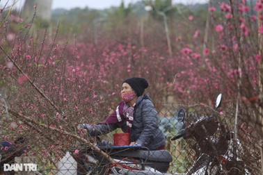 Vì sao lịch nghỉ Tết không cố định, phải lấy ý kiến nhiều nơi?