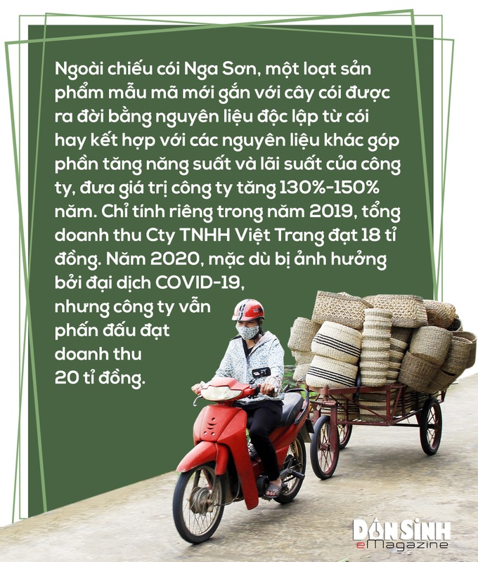 Bài 1: Người “thổi hồn” cho cói Nga Sơn - Ảnh 9.