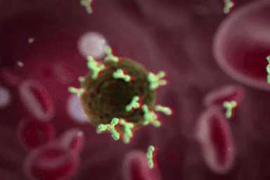 Vắc xin bảo vệ cơ thể trước virus sốt xuất huyết như thế nào?