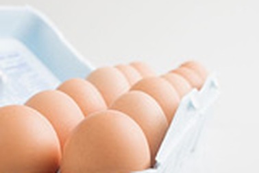 Thực phẩm kiện não, ích trí