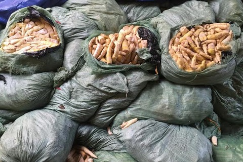 Đường tới “bàn ăn” của 22 tấn măng ngâm lưu huỳnh độc hại