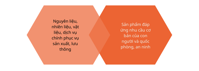 Danh mục hàng hóa, dịch vụ thiết yếu gồm những gì? - Ảnh 1.