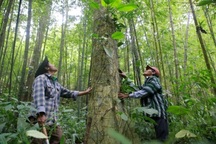 Hàng trăm tỷ đồng "bán không khí" còn mắc kẹt chưa thể giải ngân