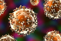 Đã có bằng chứng về tế bào bí ẩn ở hệ miễn dịch người