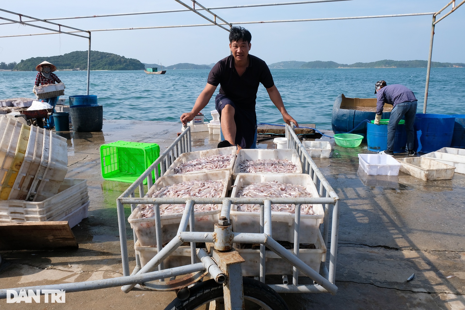Khám phá đảo Thanh Lân - viên ngọc ẩn vùng Đông Bắc - 11 Khám phá đảo Thanh Lân - viên ngọc ẩn vùng Đông Bắc - 11