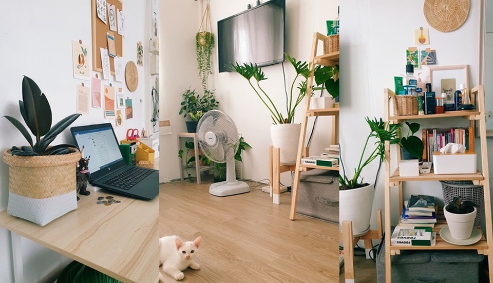 Thầy giáo gây sốt với màn biến hóa nhà đẹp không tưởng chỉ 6 triệu đồng - 6 Thầy giáo gây sốt với màn biến hóa nhà đẹp không tưởng chỉ 6 triệu đồng - 6