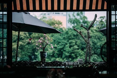 Bạn gái tuyên bố không muốn sinh con, tôi phải làm sao?