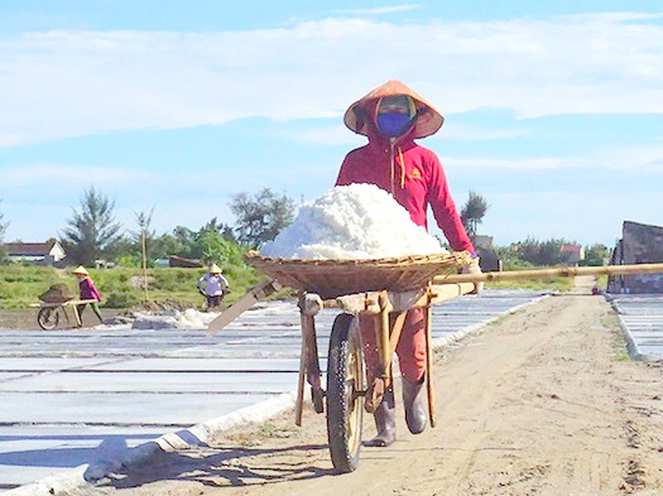 Muối trắng lấp lánh giữa nắng hè mà diêm dân tính ... bỏ nghề - 9 Muối trắng lấp lánh giữa nắng hè mà diêm dân tính ... bỏ nghề - 9