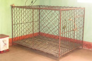 Khởi tố kẻ nhốt vợ vào chuồng chó