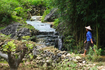 Ngôi làng đá trăm tuổi nơi biên cương Cao Bằng