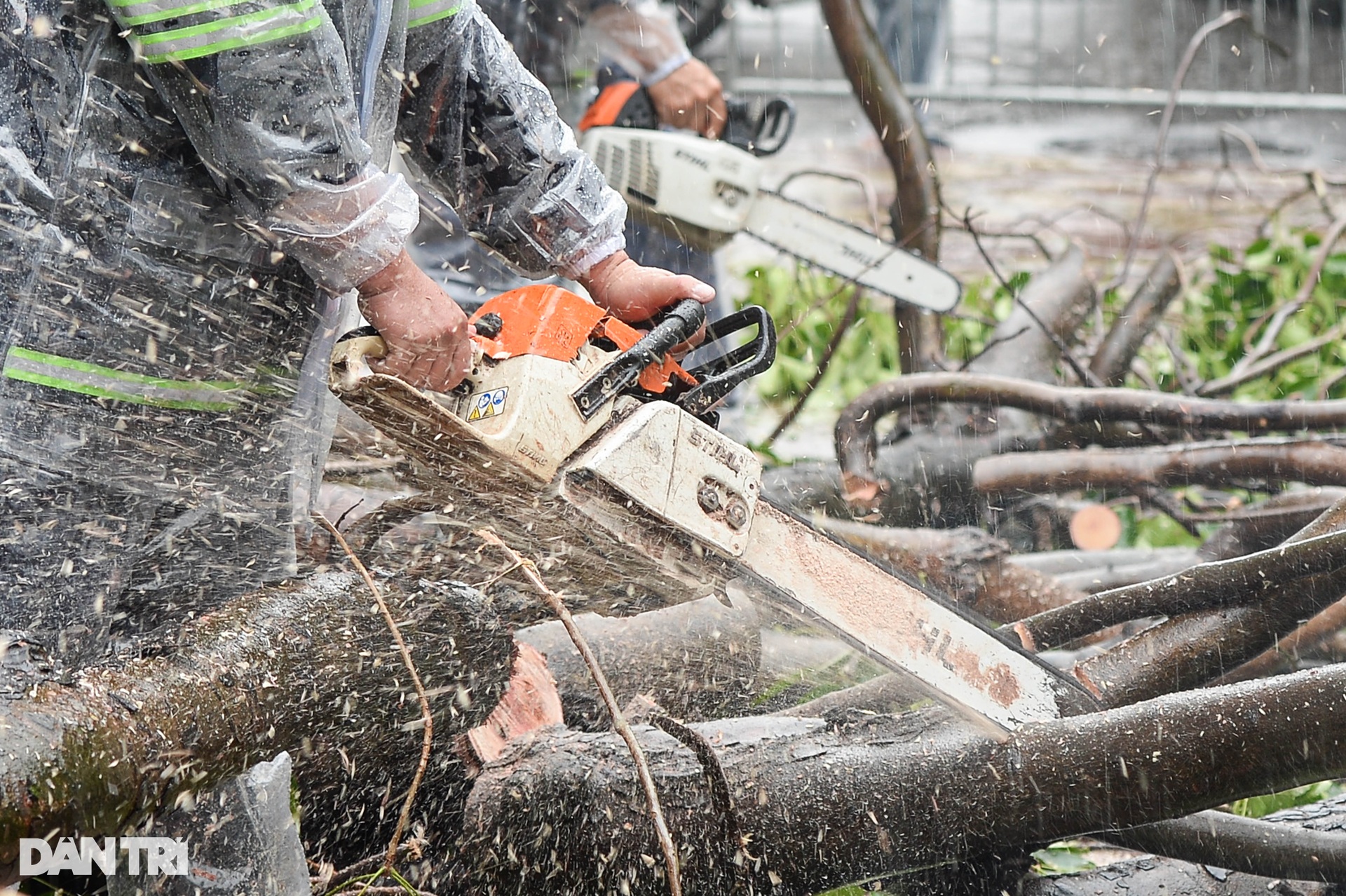 Lực lượng tinh nhuệ TPHCM đội mưa tầm tã dọn dẹp cây xanh tại Hà Nội - 8