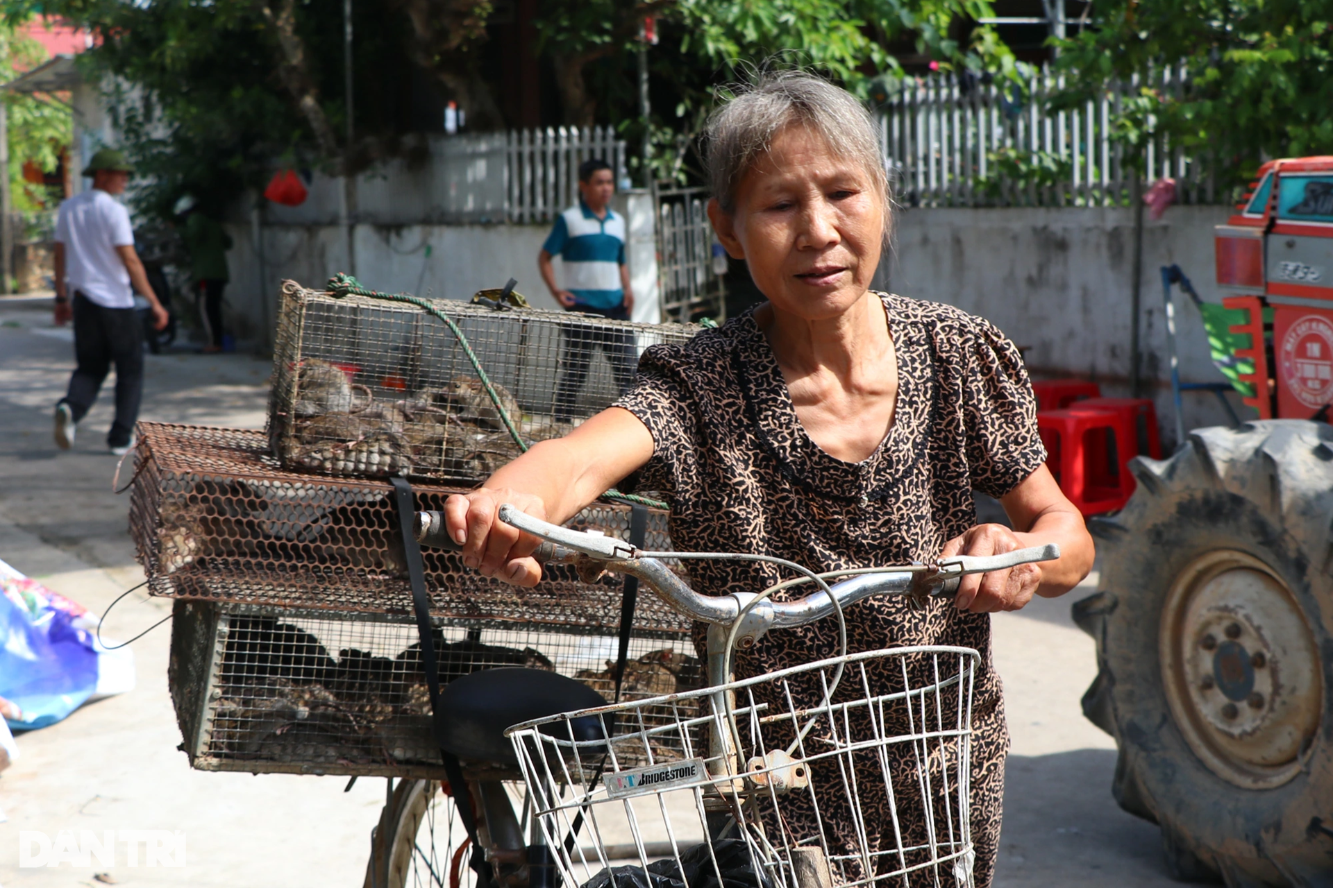 Gathering a cage full of rats, farmers earn millions overnight - 5