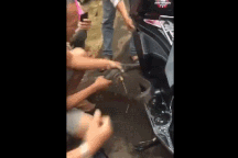 Clip "bắt rắn khủng lẩn trốn trong xe máy" gây sốt tuần qua