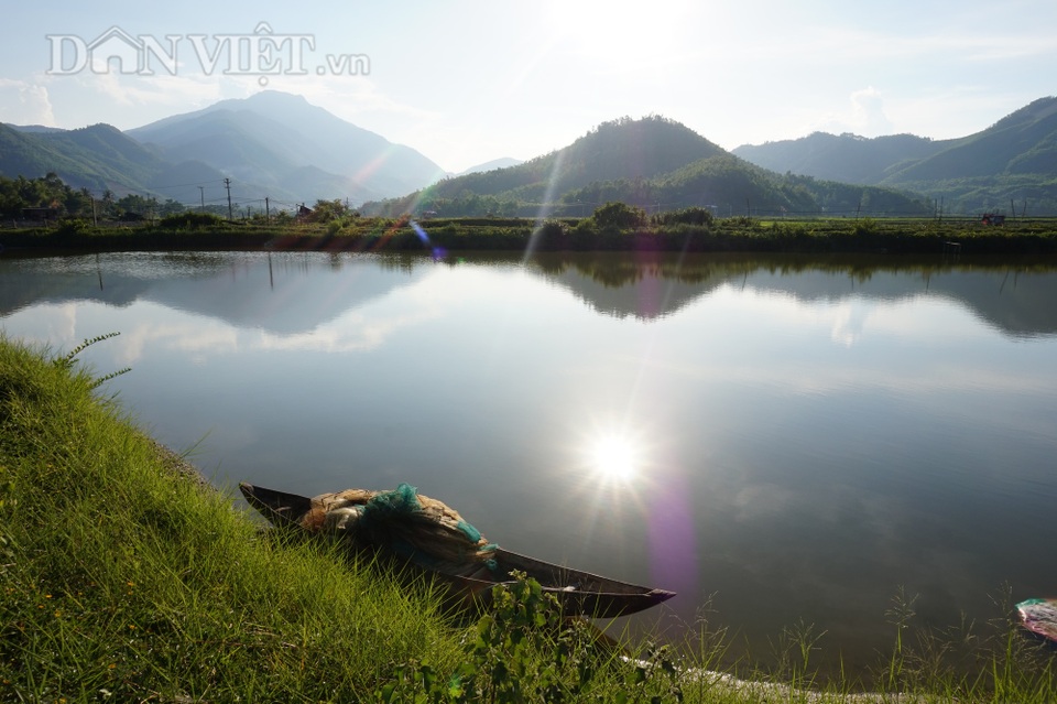 Đà Nẵng: Cả làng đổi đời nhờ đào ao nuôi toàn con đặc sản - 6 Đà Nẵng: Cả làng đổi đời nhờ đào ao nuôi toàn con đặc sản - 6