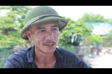 Ngắm mai chiếu thủy đột biến giá hàng trăm triệu “độc nhất” ở Hà Nội