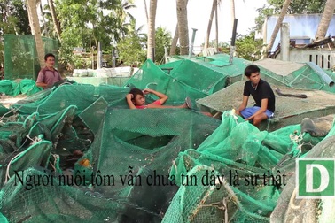 Gần 10.000 lồng tôm hùm bị bão cuốn bay