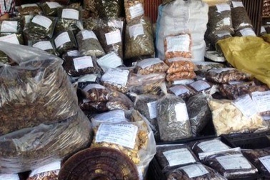 Người tiêu dùng thông thái nên chọn như thế nào trước cơn ác mộng dược liệu kém chất lượng?