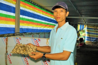 Nhờ mô hình nuôi "3 trong 1", chàng trai 9x kiếm hàng trăm triệu đồng/năm