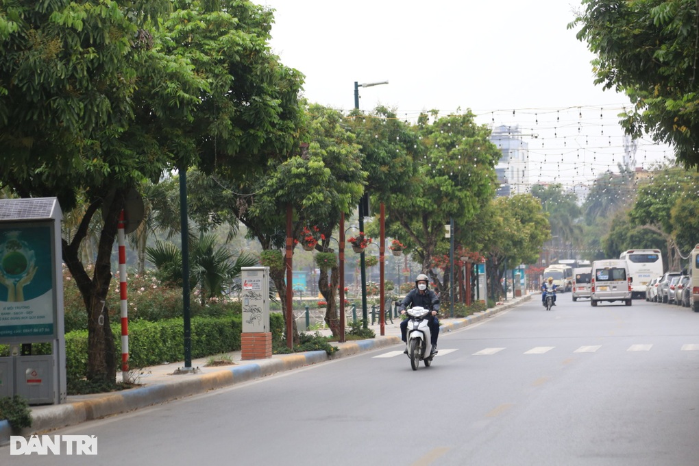 Hà Nội: Đề xuất trồng mới 55 cây giáng hương ở khu phố đi bộ Trịnh Công Sơn - 1 Hà Nội: Đề xuất trồng mới 55 cây giáng hương ở khu phố đi bộ Trịnh Công Sơn - 1
