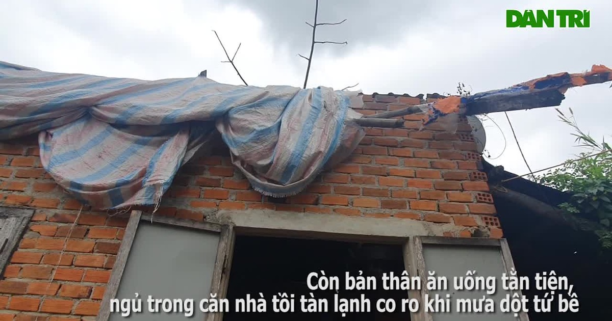 Video: Mẹ ở trong căn nhà tồi tàn vì gắng lo cho 2 con học đại học | Báo Dân trí