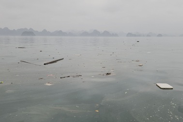 Rác thải vẫn "bồng bềnh" trên Vịnh Hạ Long, Bái Tử Long