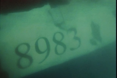 Tìm thấy một số thi thể tại vị trí máy bay CASA rơi