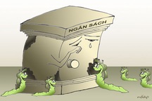 Sẽ thẩm tra các báo cáo “10 năm không có tham nhũng”