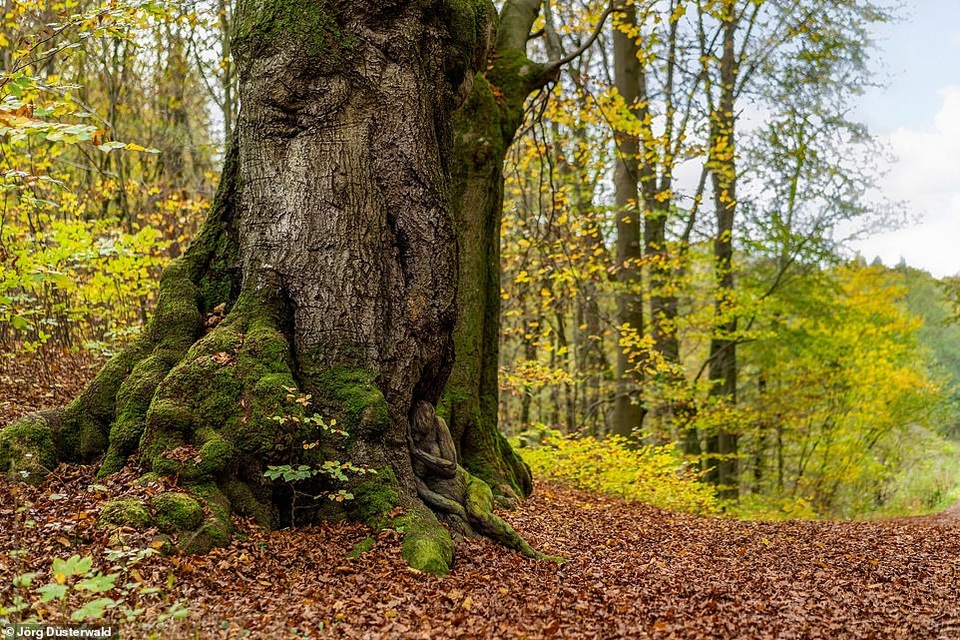 Bạn có nhìn thấy người mẫu khỏa thân trong ảnh này? - 4 Bạn có nhìn thấy người mẫu khỏa thân trong ảnh này? - 4