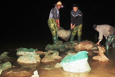 Vụ đổ trộm chất thải xuống biển: Yêu cầu doanh nghiệp tạm dừng hoạt động