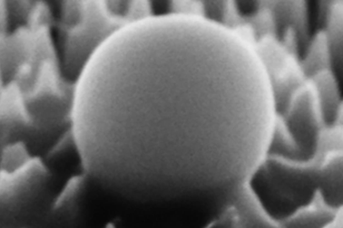 Chế tạo thành công lớp "áo giáp" loại bỏ 96% virus